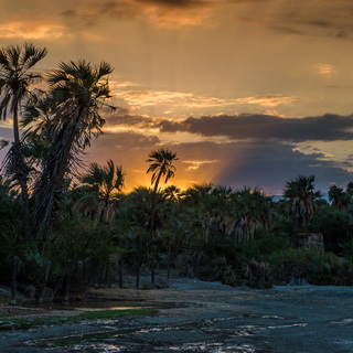 Loiyangalani - Sunrise